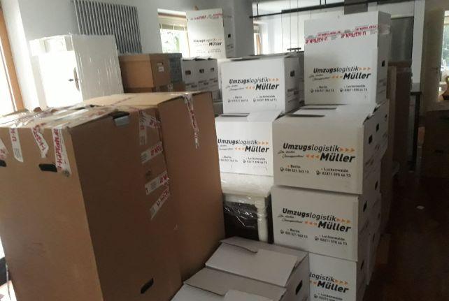 Labor Umzug preise erfahren in Niederdorf